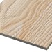 Фиброцементные панели FCSPRO Decor Wood Лиственница купить в Волгограде